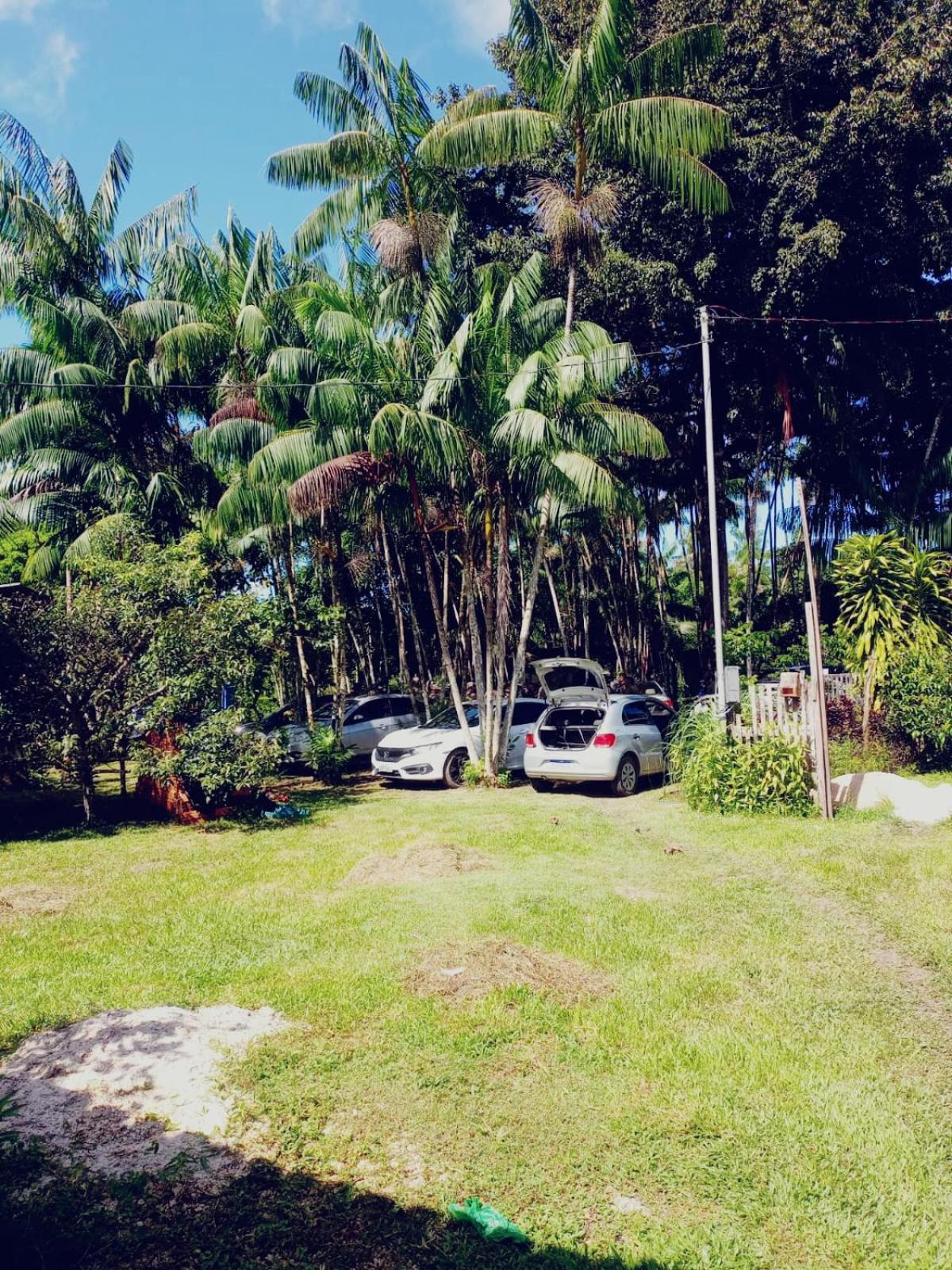 Eco Sitio O Labirinto Do Fauno Mosqueiro (Para) Exterior foto
