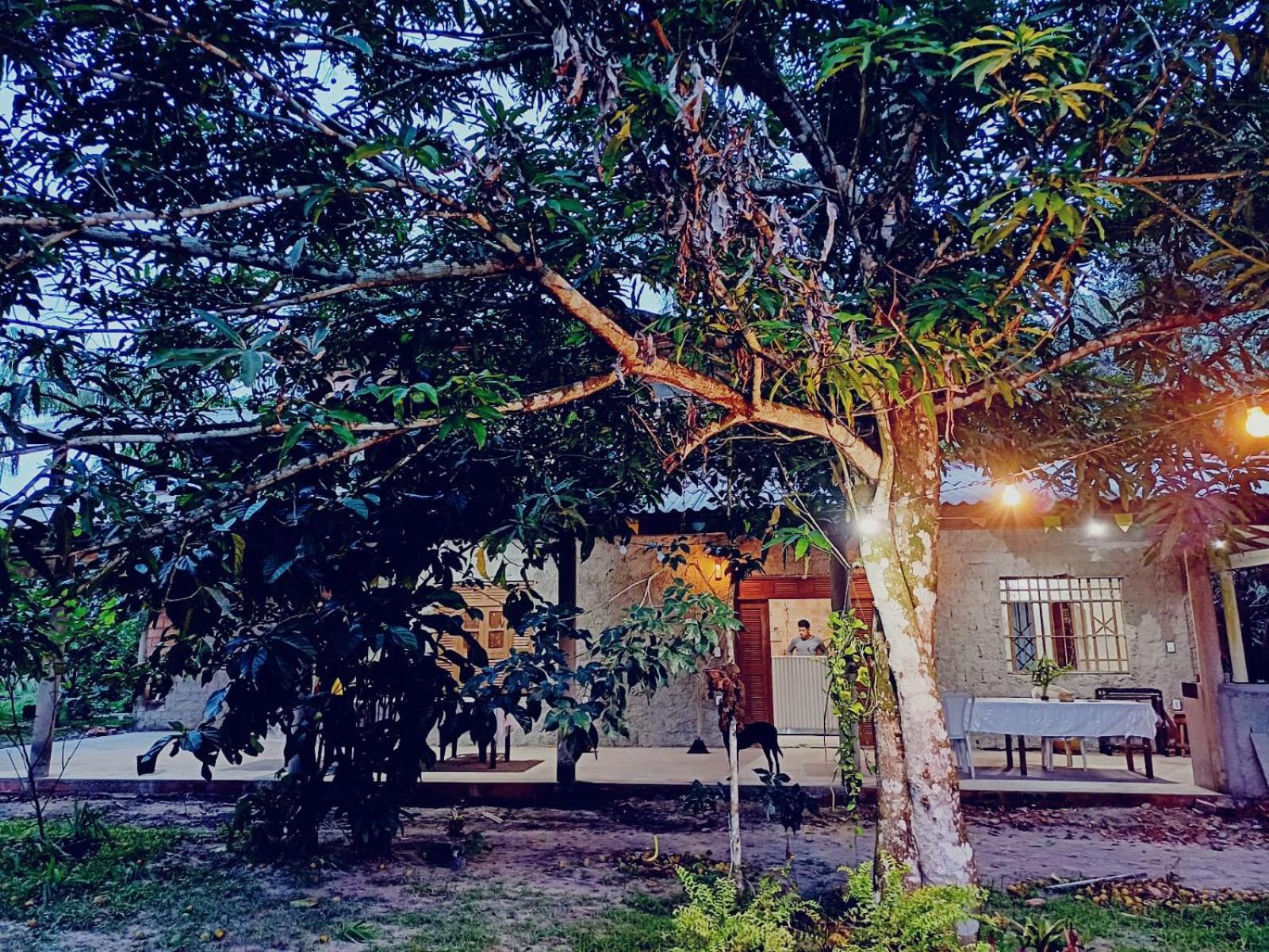 Eco Sitio O Labirinto Do Fauno Mosqueiro (Para) Exterior foto