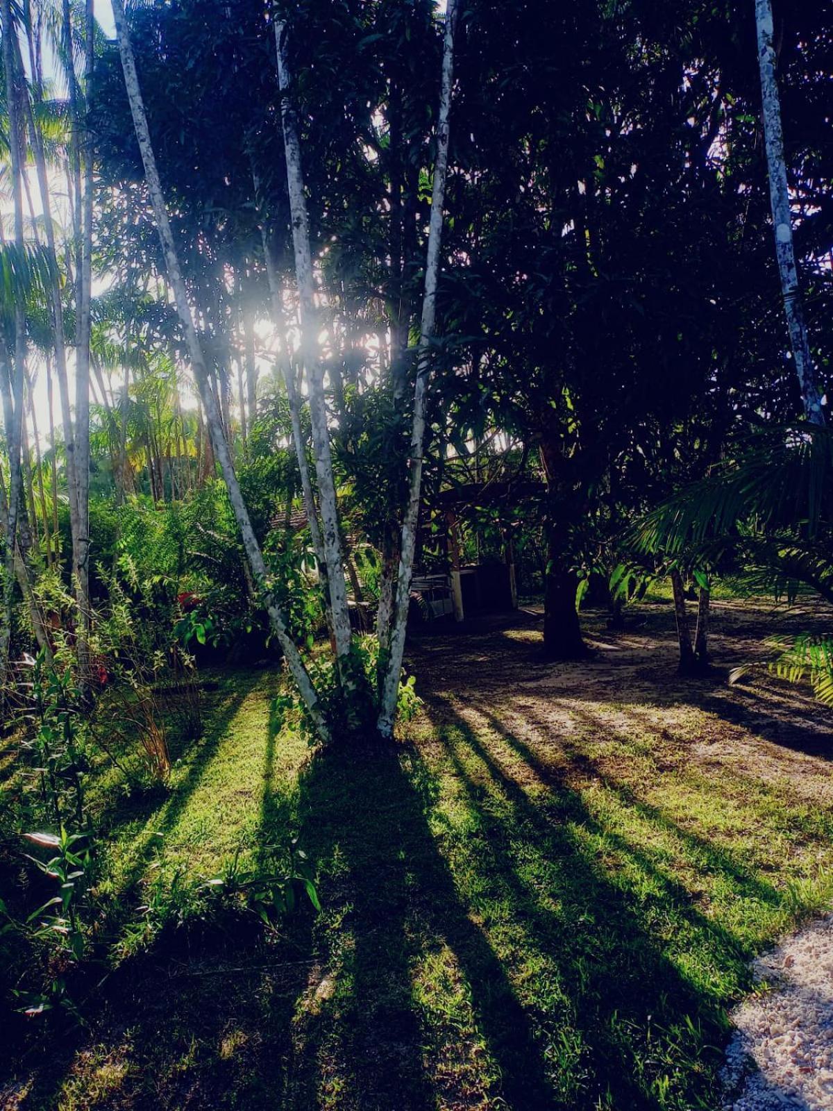 Eco Sitio O Labirinto Do Fauno Mosqueiro (Para) Exterior foto